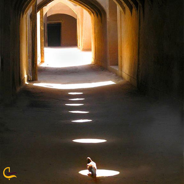 Second Responsive Image